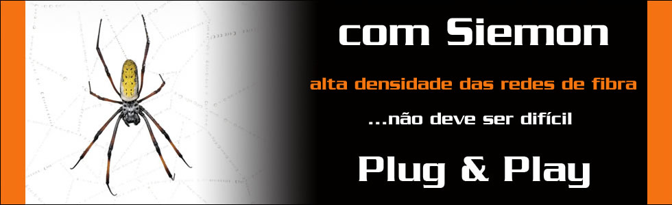 Fiber Plug and Play